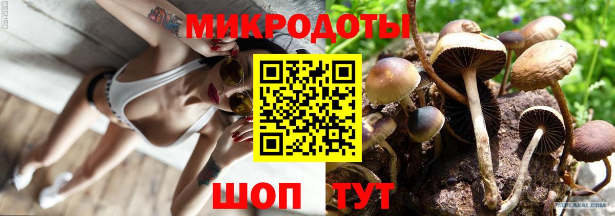 Псилоцибиновые грибы Magic Shrooms Калуга